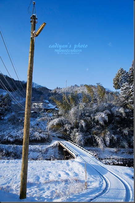 雪の電柱