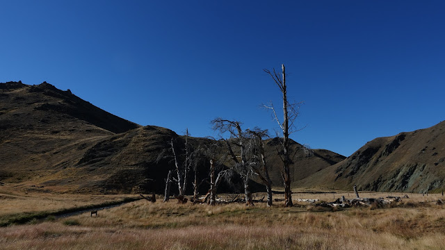 Pisa Range