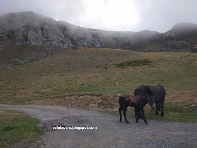 montaña-asturiana