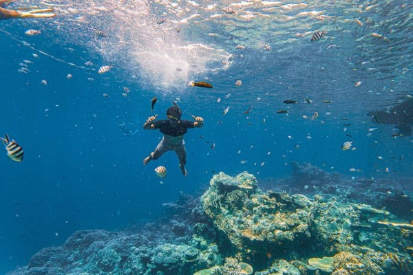 5 Spot Terbaik di Pulau Bali Untuk Pecinta Snorkeling