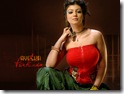 Ayesha takia 1024x768 (3)
