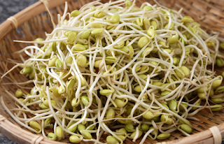 Sprouts Benefits For Health Body - 2