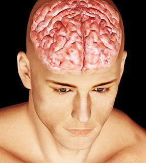 É verdade que só usamos 30% de nossa capacidade cerebral?