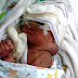 Saúde: Recém-nascido internado no Hospital São José, aguarda vaga em UTI Neonatal Urgente
