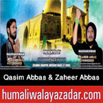 http://www.humaliwalayazadar.com/2017/09/qasim-abbas-zaheer-abbas-nohay-2018.html