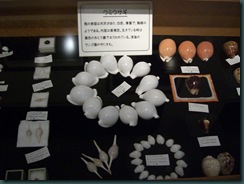 CIMG7939