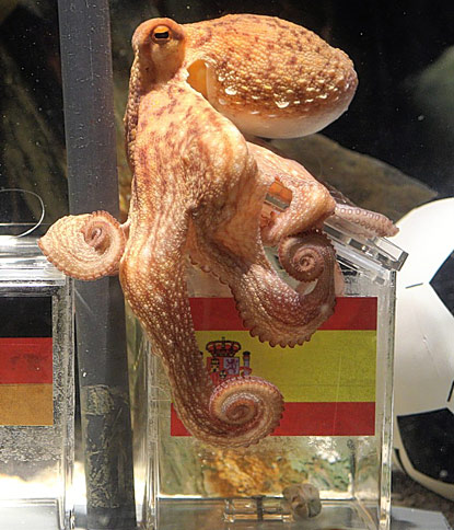 FIFA World Cup ---- Octopus