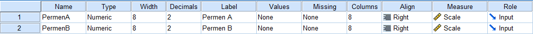 Tampilan Variable View SPSS