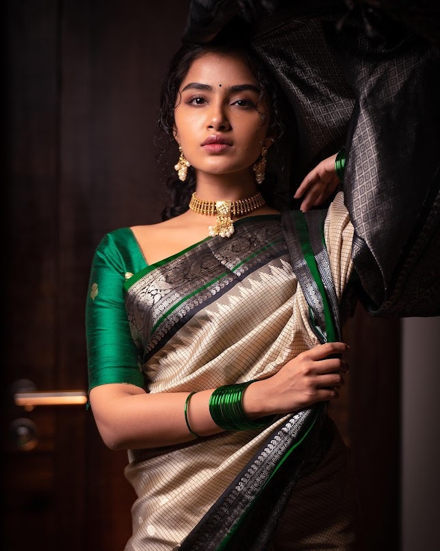 Hot Anupama Parameswaran Looks sexy in Saree 14