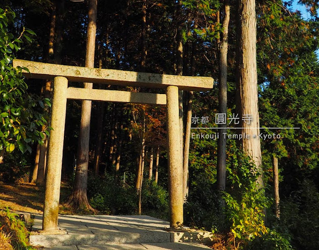 圓光寺の鳥居