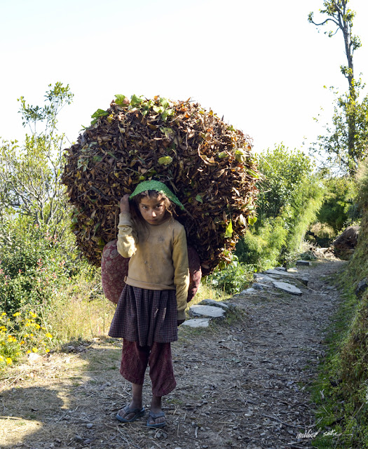 Little girl carries big load in Kumaon hills, Uttarakhand (www.milind-sathe.com)