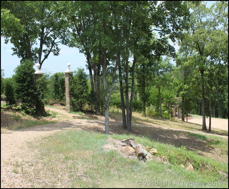 path to the rose garden