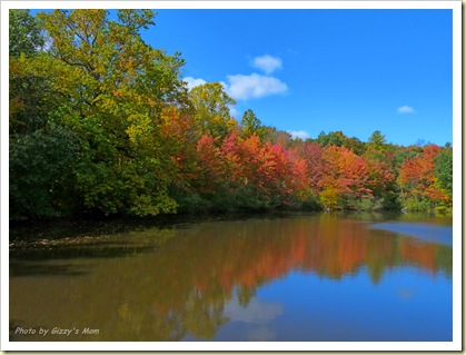 autumn reflection