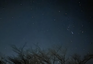 伊豆だるま山の夜景