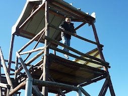 en el laberinto