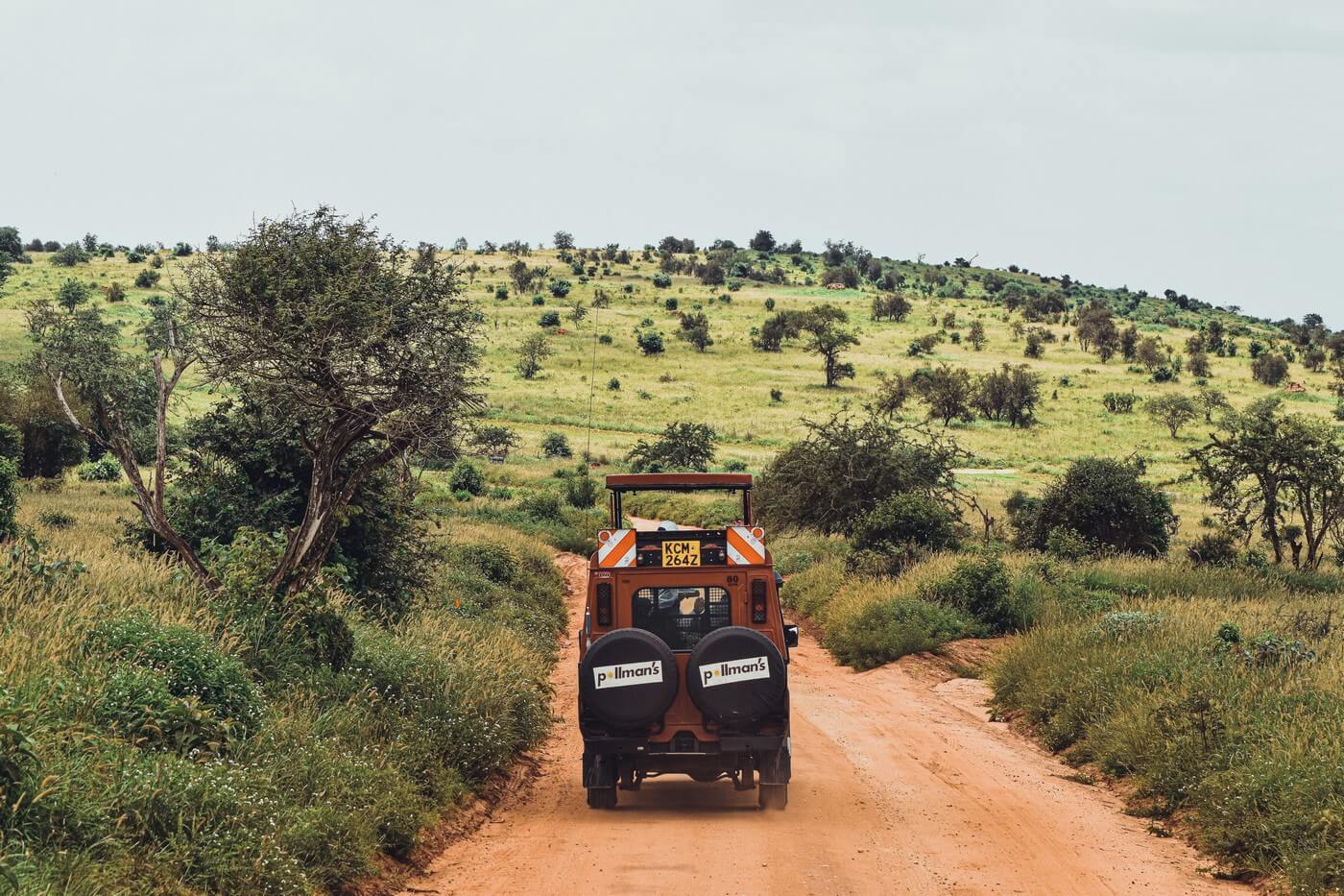 Tsavo West i Tsavo East - safari w Kenii