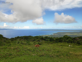 Pinoy Solo Hiker - Mt Pulog