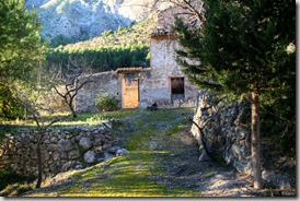 IMG_6542blog1[6]