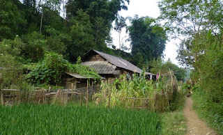 Trekking por Sapa.