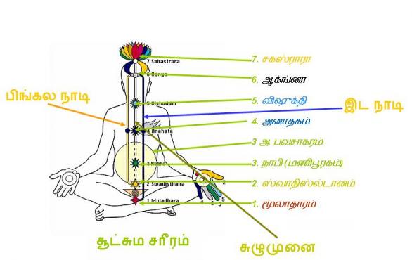 Image result for 7 சக்கரம்