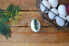 huevos de pascua teñidos con cebolla