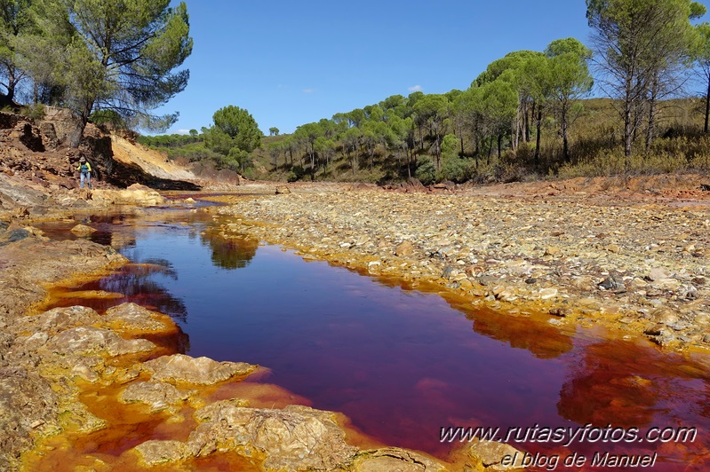 Río Tinto: Nerva - Estación de Berrocal