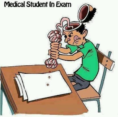 Exam Quotes For Students Funny