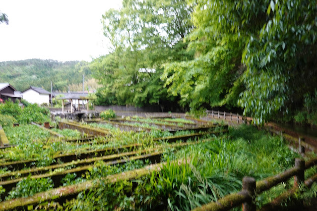 鳥取県米子市淀江町本宮 本宮の泉