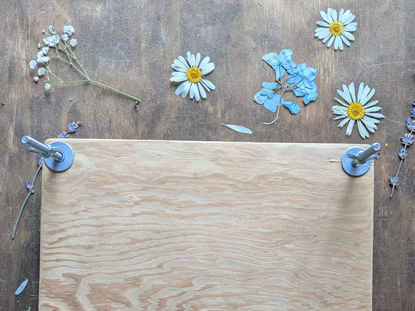 How to Make a Simple Wood Flower Press and Easiest Flowers to Press