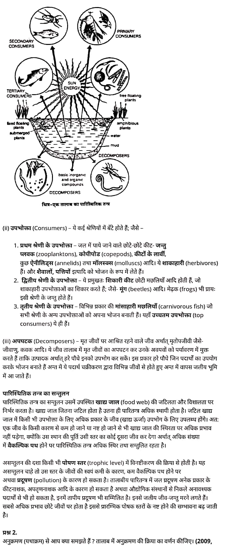 class 12   Biology   Chapter 14,  class 12   Biology   Chapter 14 ncert solutions in hindi,  class 12   Biology   Chapter 14 notes in hindi,  class 12   Biology   Chapter 14 question answer,  class 12   Biology   Chapter 14 notes,  12   class Biology   Chapter 14 in hindi,  class 12   Biology   Chapter 14 in hindi,  class 12   Biology   Chapter 14 important questions in hindi,  class 12   Biology    notes in hindi,   class 12   Biology   Chapter 14 test,  class 12   Biology   Chapter 14 pdf,  class 12   Biology   Chapter 14 notes pdf,  class 12   Biology   Chapter 14 exercise solutions,  class 12   Biology   Chapter 14, class 12   Biology   Chapter 14 notes study rankers,  class 12   Biology   Chapter 14 notes,  class 12   Biology   notes,   Biology    class 12   notes pdf,  Biology   class 12   notes 2021 ncert,  Biology   class 12   pdf,  Biology    book,  Biology   quiz class 12  ,   12  th Biology    book up board,  up board 12  th Biology   notes,   कक्षा 12 जीव विज्ञान  अध्याय 14, कक्षा 12 जीव विज्ञान  का अध्याय 14 ncert solution in hindi, कक्षा 12 जीव विज्ञान  के अध्याय 14 के नोट्स हिंदी में, कक्षा 12 का जीव विज्ञान  अध्याय 14 का प्रश्न उत्तर, कक्षा 12 जीव विज्ञान  अध्याय 14 के नोट्स, 12 कक्षा जीव विज्ञान  अध्याय 14 हिंदी में,कक्षा 12   जीव विज्ञान  अध्याय 14 हिंदी में, कक्षा 12 जीव विज्ञान  अध्याय 14 महत्वपूर्ण प्रश्न हिंदी में,कक्षा 12 के जीव विज्ञान  के नोट्स हिंदी में,जीव विज्ञान  कक्षा 12   नोट्स pdf,   जीव विज्ञान  कक्षा 12   नोट्स 2021 ncert,  जीव विज्ञान  कक्षा 12   pdf,  जीव विज्ञान  पुस्तक,  जीव विज्ञान  की बुक,  जीव विज्ञान  प्रश्नोत्तरी class 12  , 12   वीं जीव विज्ञान  पुस्तक up board,  बिहार बोर्ड 12  पुस्तक वीं जीव विज्ञान  नोट्स,     12th Biology    book in hindi, 12  th Biology    notes in hindi, cbse books for class 12  , cbse books in hindi, cbse ncert books, class 12   Biology   notes in hindi,  class 12   hindi ncert solutions, Biology   2020, Biology   2021, Biology   2022, Biology   book class 12  , Biology    book in hindi, Biology   class 12   in hindi, Biology   notes for class 12   up board in hindi, ncert all books, ncert app in hindi, ncert book solution, ncert books class 10, ncert books class 12  , ncert books for class 7, ncert books for upsc in hindi, ncert books in hindi class 10, ncert books in hindi for class 12 Biology  , ncert books in hindi for class 6, ncert books in hindi pdf, ncert class 12 hindi book, ncert english book, ncert Biology    book in hindi, ncert Biology    books in hindi pdf, ncert Biology  class 12 ,   ncert in hindi,  old ncert books in hindi, online ncert books in hindi,  up board 12  th, up board 12  th syllabus, up board class 10 hindi book, up board class 12   books, up board class 12   new syllabus, up board intermediate Biology    syllabus, up board intermediate syllabus 2021, Up board Master 2021, up board model paper 2021, up board model paper all subject, up board new syllabus of class 12  th Biology  ,   12 वीं जीव विज्ञान   पुस्तक हिंदी में, 12  वीं भौतिक विज्ञान  नोट्स हिंदी में, कक्षा 12   के लिए सीबीएससी पुस्तकें, कक्षा 12   जीव विज्ञान  नोट्स हिंदी में, कक्षा 12   हिंदी एनसीईआरटी समाधान,  जीव विज्ञान  बुक इन हिंदी, भौतिक विज्ञान  क्लास 12   हिंदी में,  एनसीईआरटी भौतिक विज्ञान  की किताब हिंदी में,  बोर्ड 12 वीं तक, 12 वीं तक की पाठ्यक्रम, बोर्ड कक्षा 10 की हिंदी पुस्तक , बोर्ड की कक्षा 12   की किताबें, बोर्ड की कक्षा 12 की नई पाठ्यक्रम, बोर्ड जीव विज्ञान  2020, यूपी   बोर्ड जीव विज्ञान  2021, यूपी  बोर्ड जीव विज्ञान  2022, यूपी  बोर्ड भौतिक विज्ञान  2023, यूपी  बोर्ड इंटरमीडिएट भौतिक विज्ञान  सिलेबस, यूपी  बोर्ड इंटरमीडिएट सिलेबस 2021, यूपी  बोर्ड मास्टर 2021, यूपी  बोर्ड मॉडल पेपर 2021, यूपी  मॉडल पेपर सभी विषय, यूपी  बोर्ड न्यू क्लास का सिलेबस  12   वीं भौतिक विज्ञान, अप बोर्ड पेपर 2021, यूपी बोर्ड सिलेबस 2021, यूपी बोर्ड सिलेबस 2022,