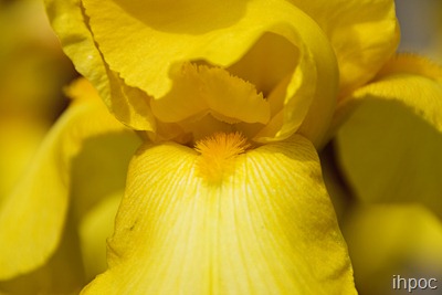 IMG_1403 copy