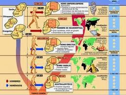 http://www.juanjoromero.es/eso/1eso/prehistoria.swf