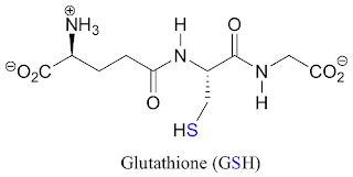 Glutathione là gì