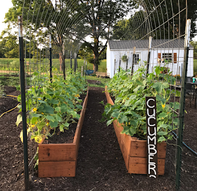 Jana Duggar garden