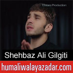 https://humaliwalaazadar.blogspot.com/2019/08/shehbaz-ali-gilgiti-nohay-2020.html