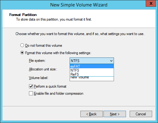 Windows Hard Disk Drive Volume Format Partition File System exFAT Showing