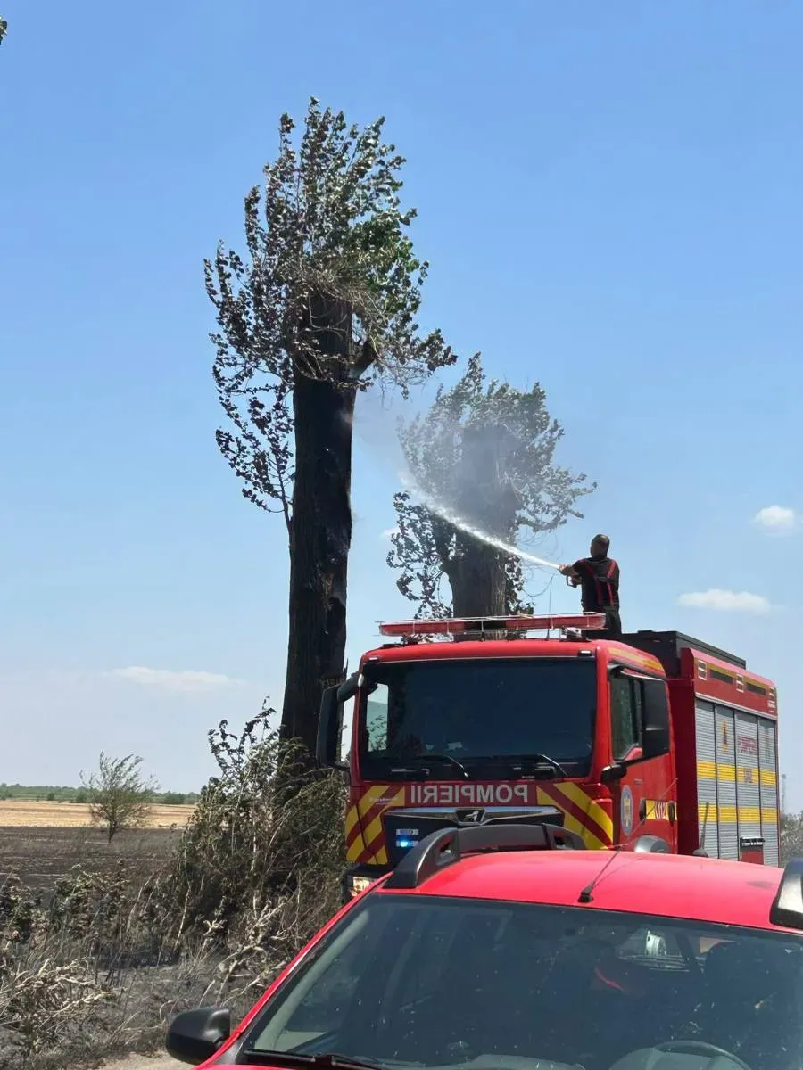 Incendiu la Ciupercenii Vechi