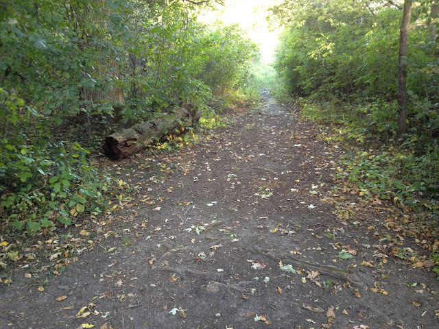 Fitzroy Ontario Provincial Park, site 284