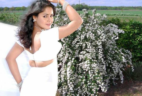 mallu aunty white saree ing her very tight blouse seeing big hot  photoshoot