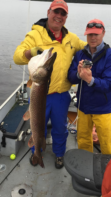 huge giant trophy pike walleye Red Lake Ontario Canada fishing report Nungesser Anglers Kingdom