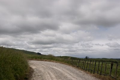 View up No. 2 Line, Pohangina Valley