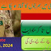 Pak Army Latest Job 2024 