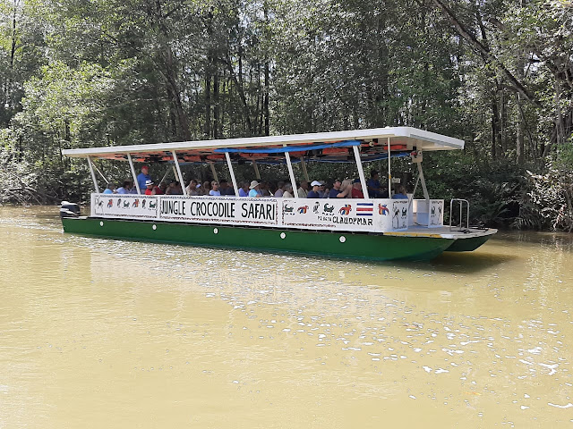 Crocodile tour from Jaco