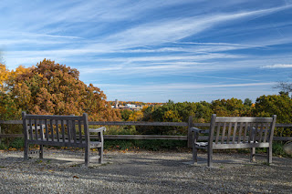 Bench at Nichols Arboretum | Ann Arbor hotel