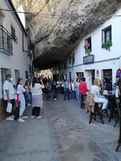 SETENIL DE LA BODEGA