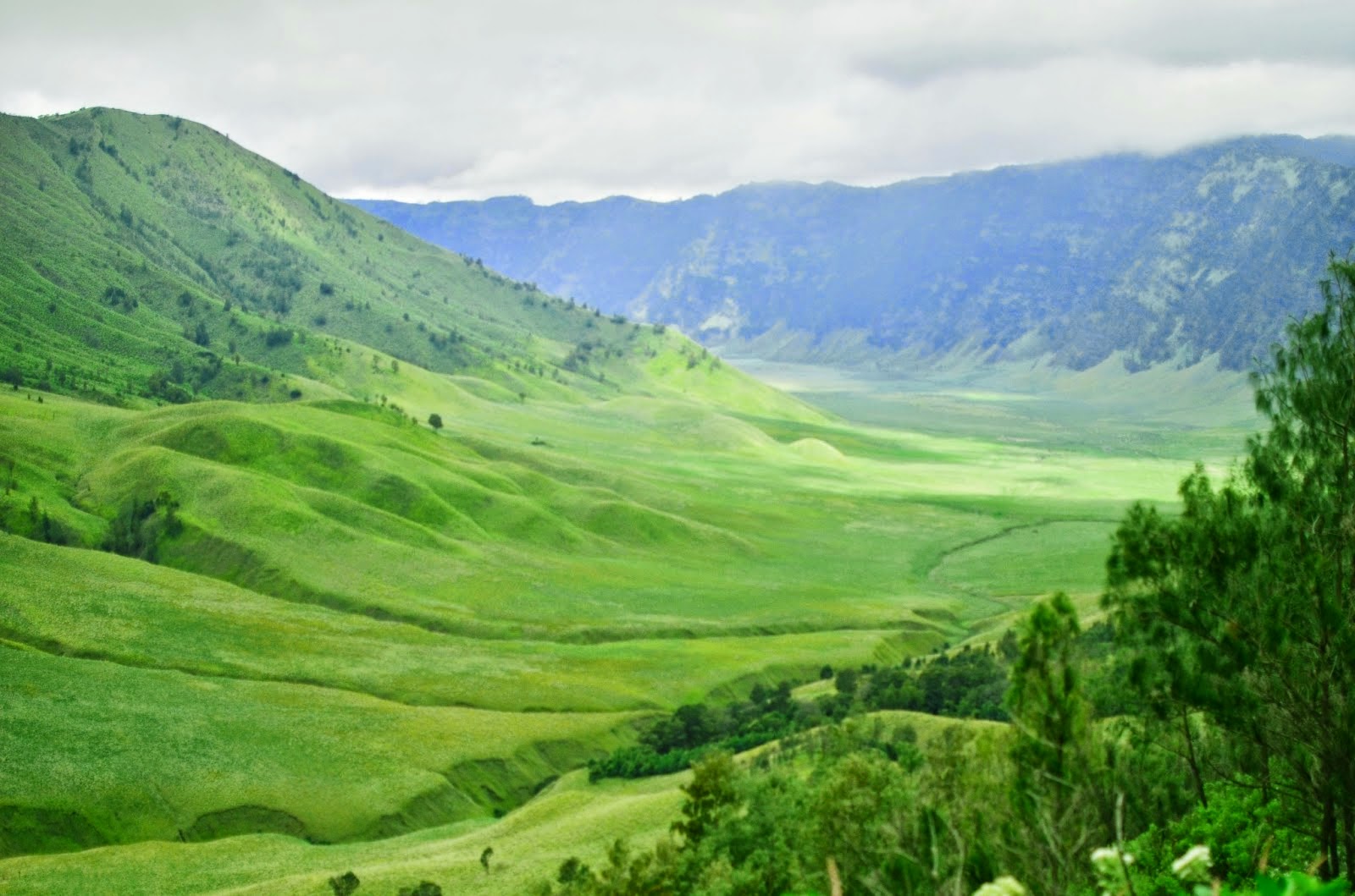 Padang Savana