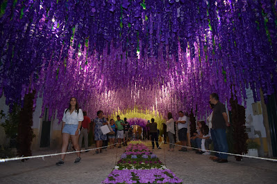 Rua decorada de flores na Festa dos Tabuleiros 2019