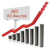 Cara Agar Blog 100% SEO di SEO Analysis Tool