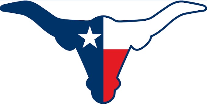 Texas Vector