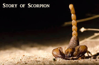 STORY -- THE SCORPION